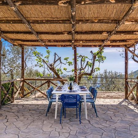 Villa Rusinella Minimalist Retreat With Sea Views マッサ・ルブレンセ エクステリア 写真