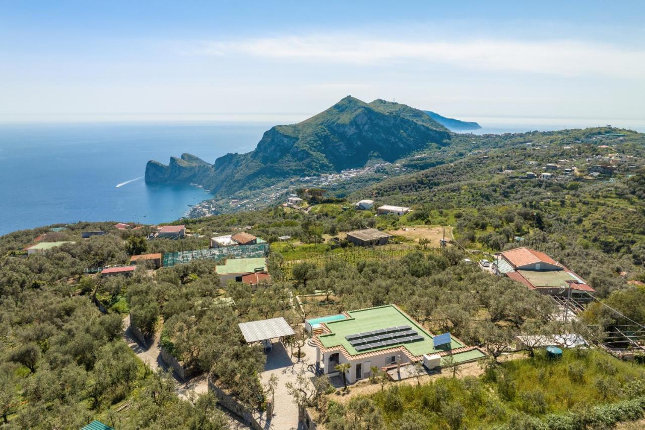Villa Rusinella Minimalist Retreat With Sea Views マッサ・ルブレンセ エクステリア 写真